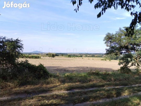 Csabrendeken egy nagy telek, otthonának szerezze meg!