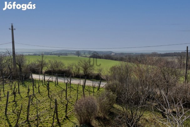 Csákberényi eladó tégla családi ház