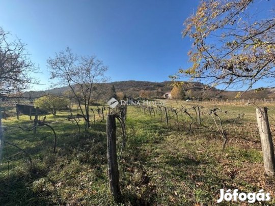 Csákvári eladó 25 nm-es ház