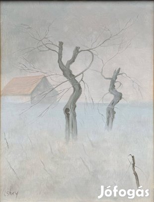 Csáky Lajos - Téli vidék