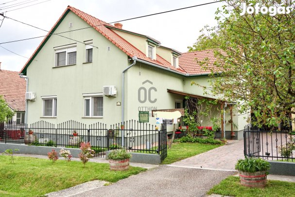 Családi ház és jól működő vendégház