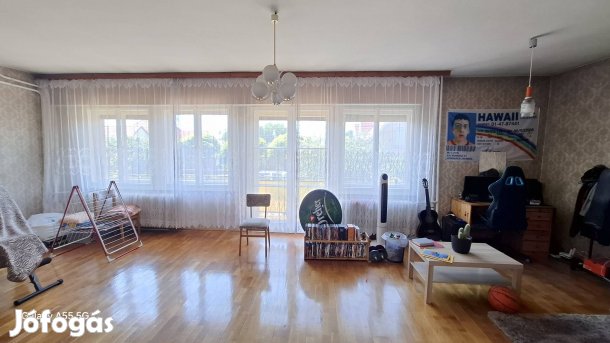 Családi ház nagy kerrttel Vecsésen eladó