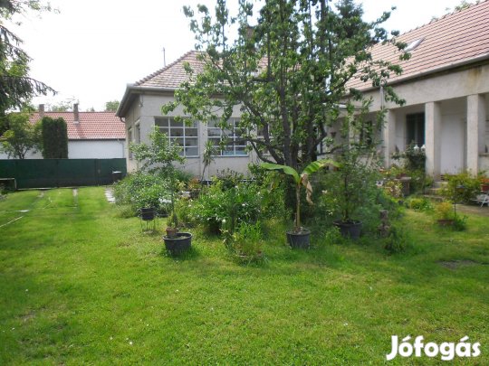 Családi ház nagy kerttel eladó