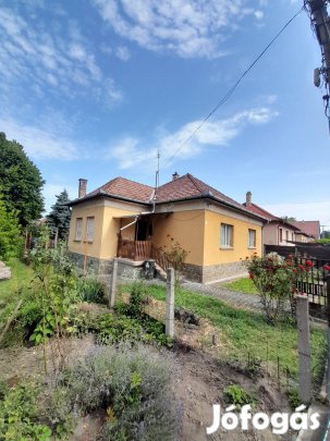 Családi ház nagy telekkel Szentendrén