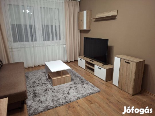 Csapó utcán felújított 35 nm-es 1,5 szobás lakás kiadó