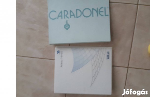 Csatos irattartó mappa