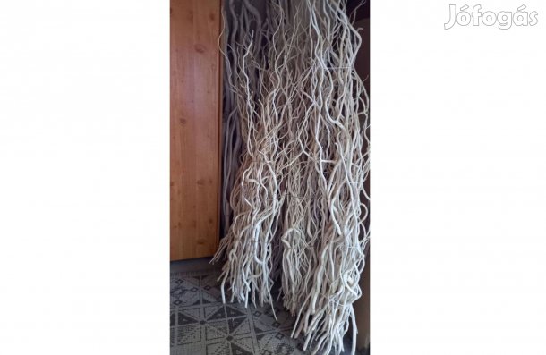 Csavart fűzfa ág dekoráció , korlát, térelválaszónak terrárium részére