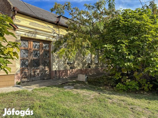 Csávoly központjában, felújítandó, 274 nm-es családi ház eladó