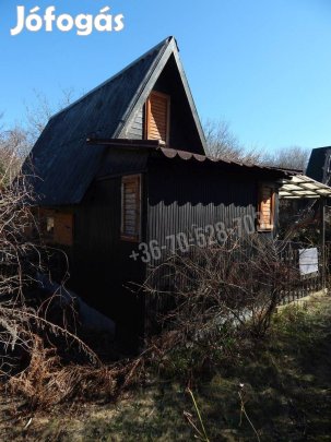 Csend, nyugalom, madárcsicsergés, chill! Tatabánya Síkvölgyön. Belterü