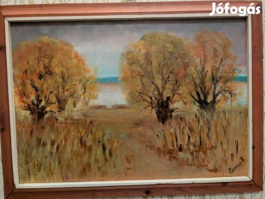 Csendes Ferenc festmény 55x39
