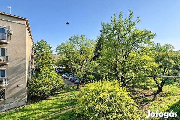 Csendes, Világos, Parkra Néző, Jó Állapotú Lakás Eladó!