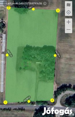 Csengelei tanya autópálya felhajtó mellett