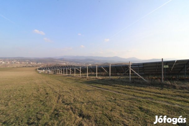 Csengerpuszta eladó rét-legelő