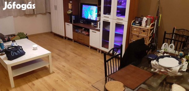 Csepel kiadó panellakás 1+1 szobás 46 nm