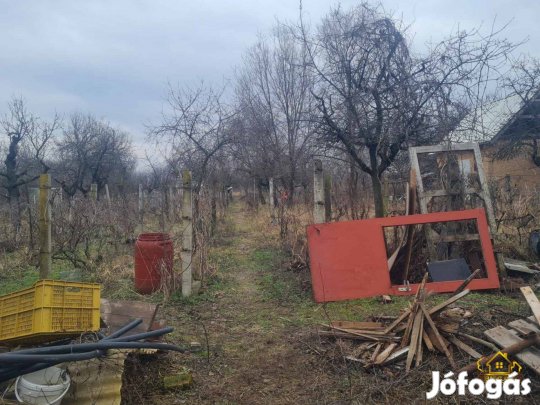 Csepelen 1360 m2-es szántó! 1211