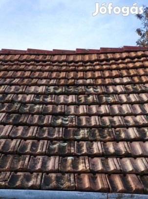 Cserép kb 560 db