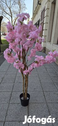 Cseresznye virág kültérre beltérre