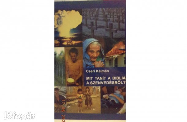 Cseri Kálmán: Mit tanít a Biblia a szenvedésről?