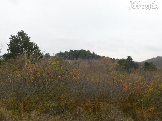 Cserszegtomajon madárcsicsergős  helyen telek eladó