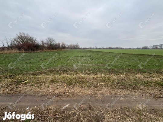 Csévharaszton eladó terület