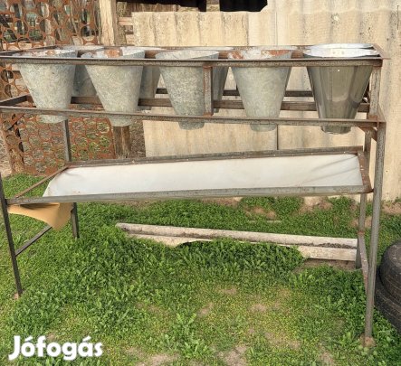 Csirke kacsa véreztetö