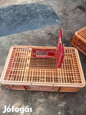 Csirkeszállító rekeszek eladók.