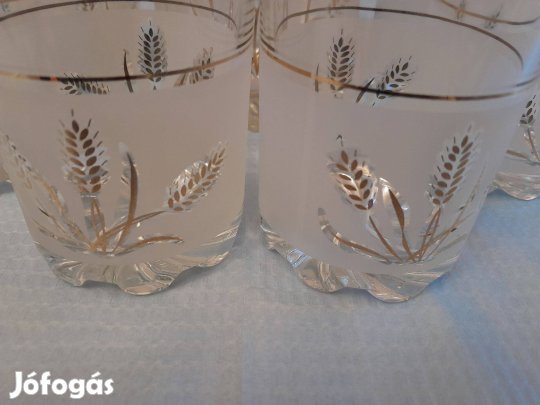 Csiszolt pohár készlet jégtartóval