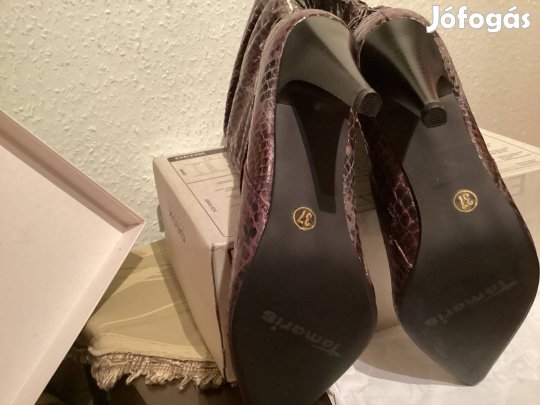 Csizma hosszú szarú tamaris