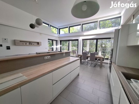 Csodálatos családi ház, csendes zsákutcában