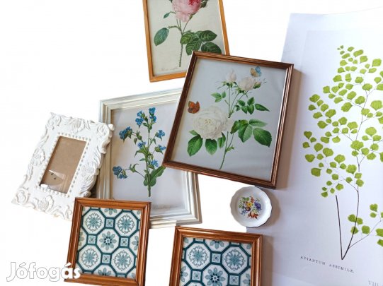 Csodaszép virágos, botanikai illusztrációs dekor csomag. 8 db