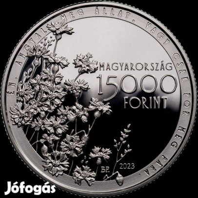 Csokonai Vitéz Mihály születésének 250. évfordulója