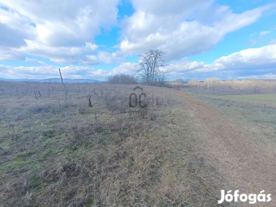 Csomádi eladó mezőgazdasági ingatlan