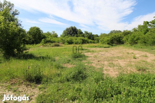 Csömöri eladó telek