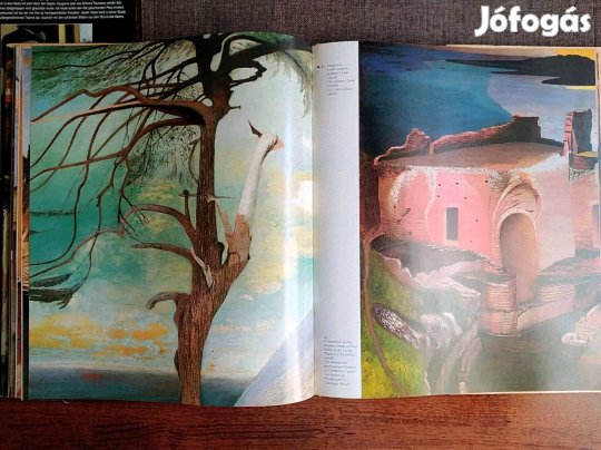 Csontváry négynyelvű (Magyar-angol-német-francia - A bevezetőt írta