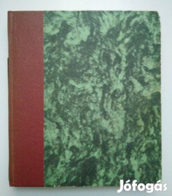 Csuka Edit - Kiskutya a nagyvilágban