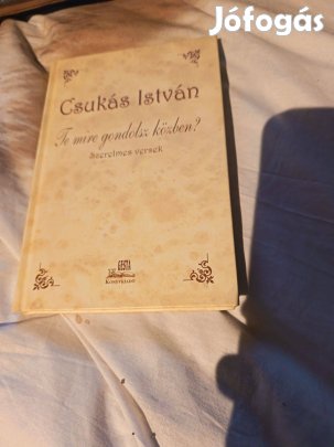 Csukás István: Te mire gondolsz közben?