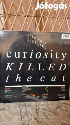 Curiosity Killed The Cat
