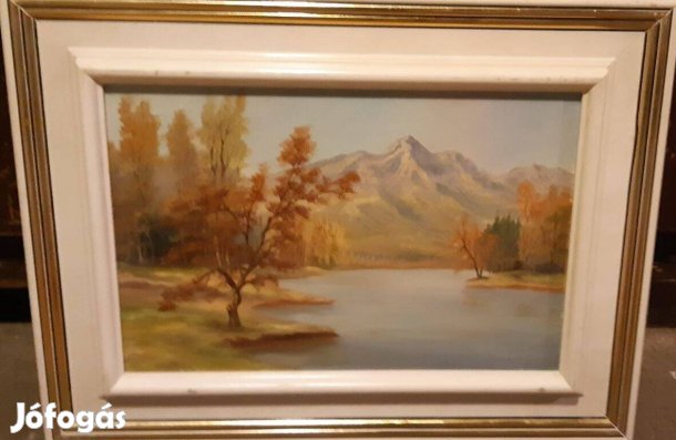 D.Szabó István: Hegyvidék című festménye eladó