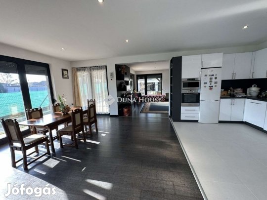 Dabasi 157 nm-es ház eladó