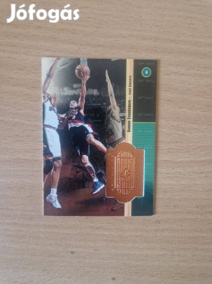 Damon Stoudamire Upper Deck Spx Finite 1998-99 #60 kosaras kártya