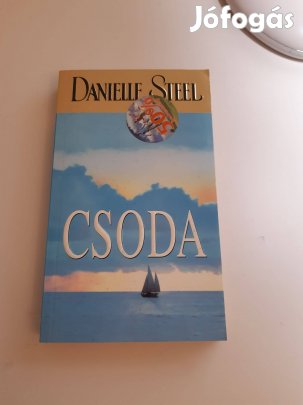Danielle Steel: Csoda romantikus könyv