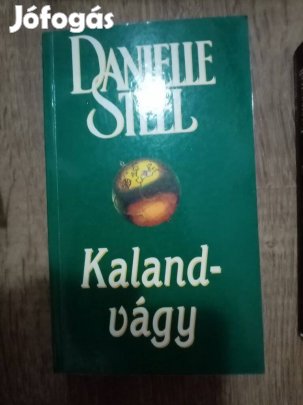Danielle Steel : Kalandvágy