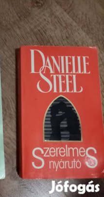 Danielle Steel : Szerelmes nyárutó