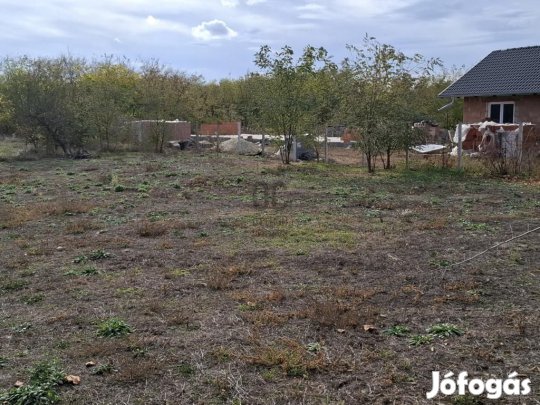 Dánszentmiklósi eladó 3971 nm-es telek