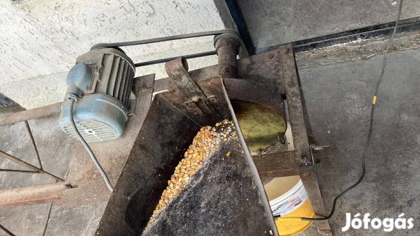 Daráló, terménydaráló kukorica daráló eladó Győrben kipróbálható