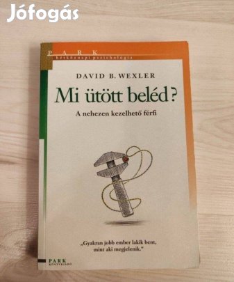 David B. Wexler: Mi ütött beléd? - A nehezen kezelhető férfi c. könyv