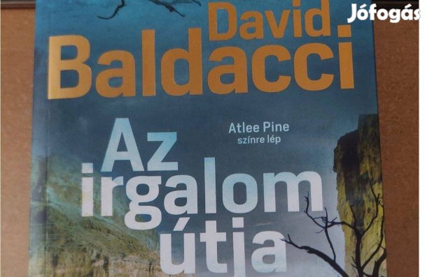David Baldacci: Az irgalom útja