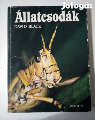 David Black - Állatcsodák
