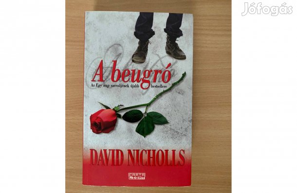 David Nicholls: A beugró című könyv