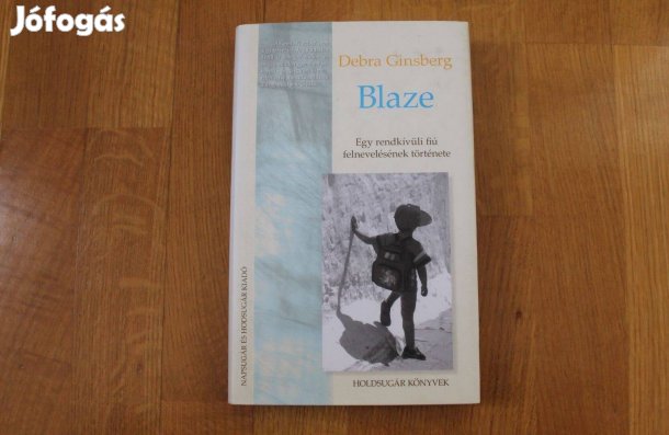 Debra Ginsberg - Blaze